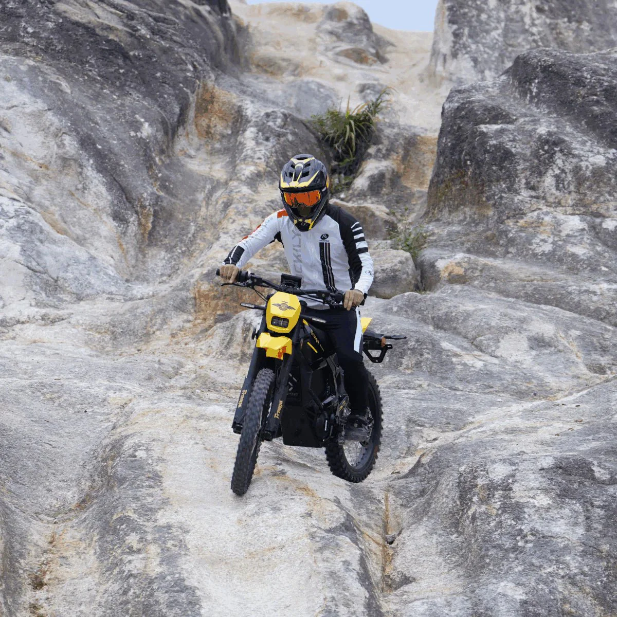 Freego Nova 5 – Mid-Drive Electric Dirt Bike - Image 13