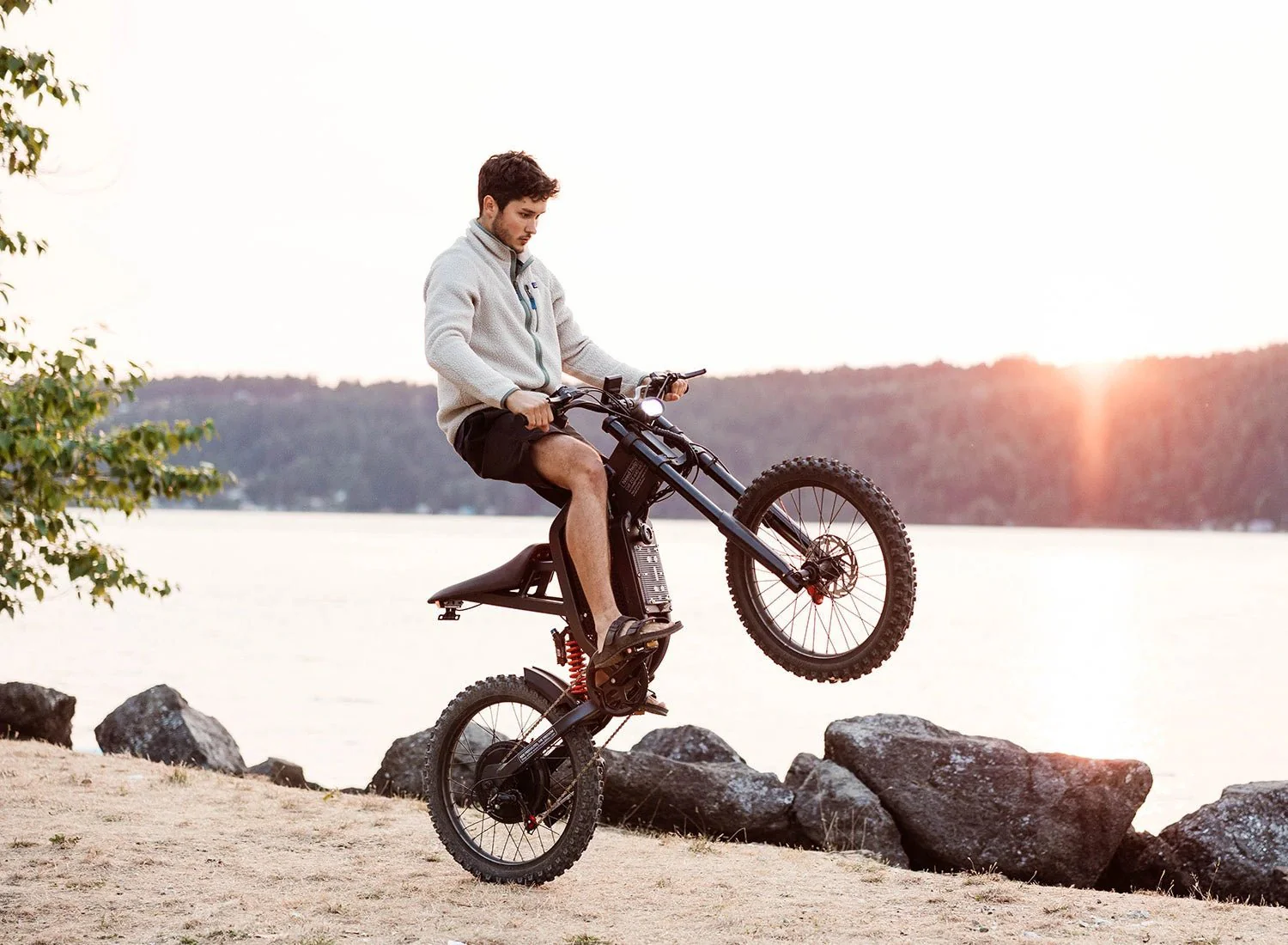 Freego X2 Dirt Master Off-Road eBike - Image 9