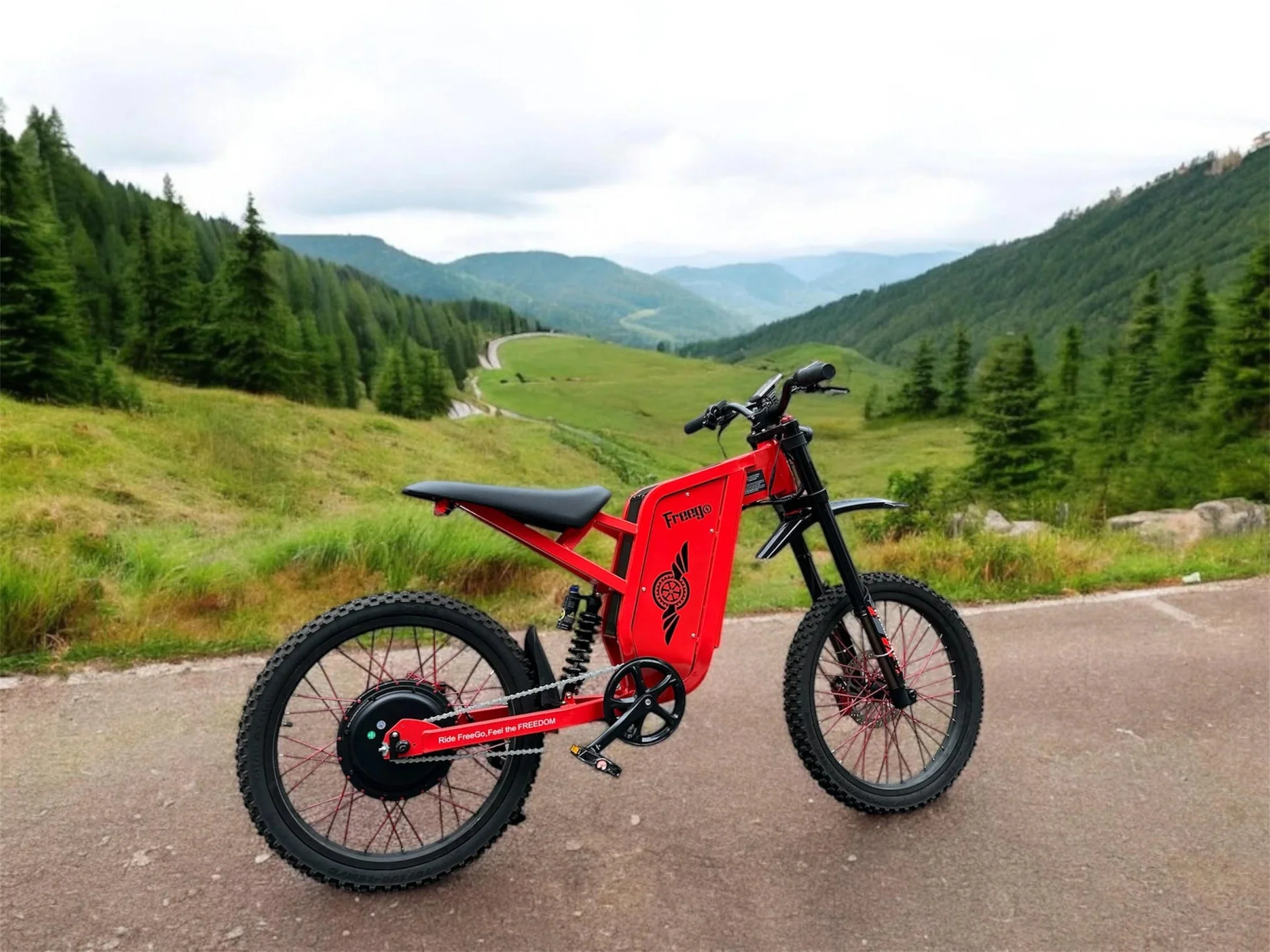 Freego X2 Pro All-Terrain Dirt eBike - Image 4