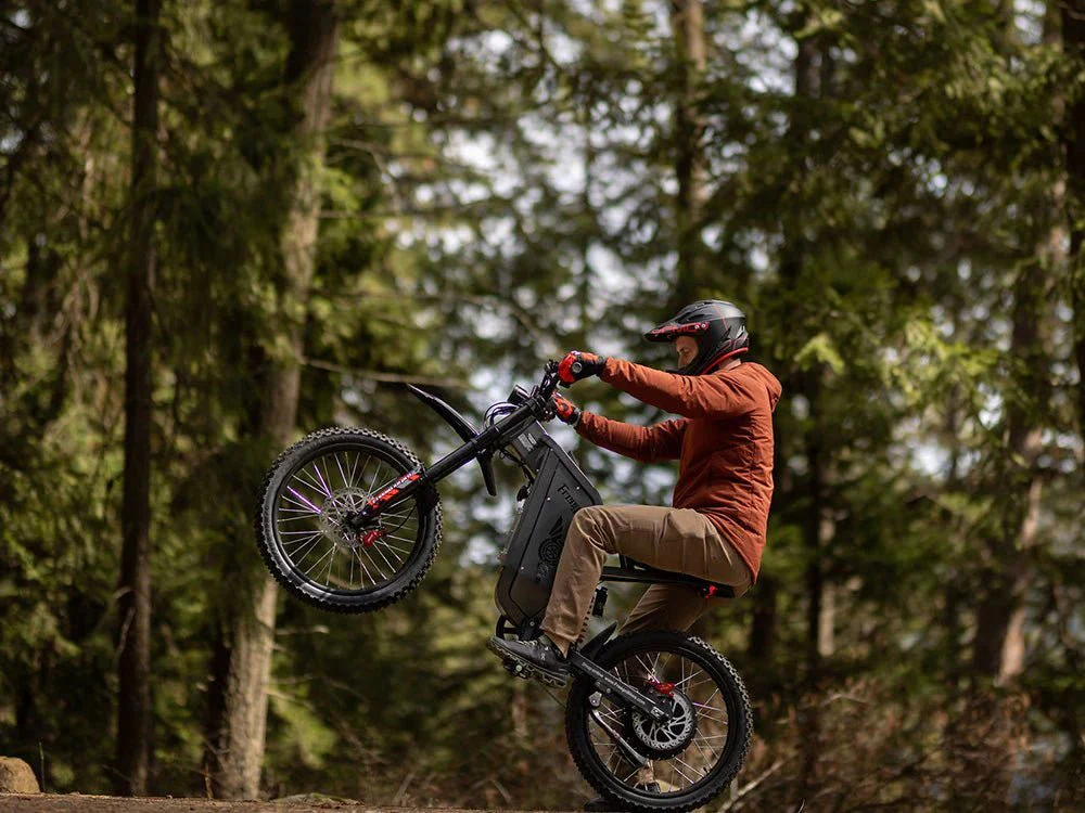 Freego X2 Pro All-Terrain Dirt eBike - Image 8