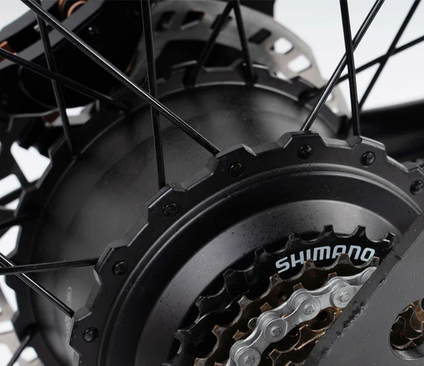 GT33 All-Terrain Cafe Racer - Image 10