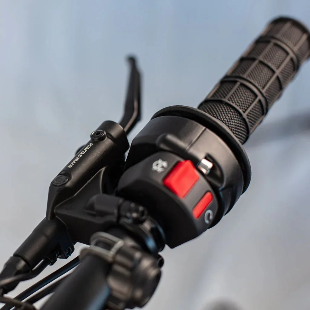 RAWRR MANTIS MINI R & R17 - Image 18
